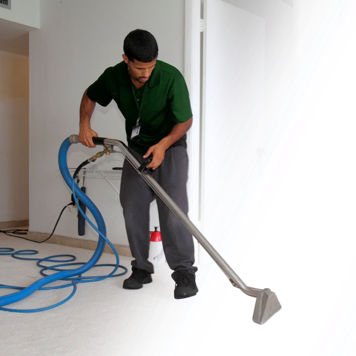 Local Professional Carpet Cleaning Services